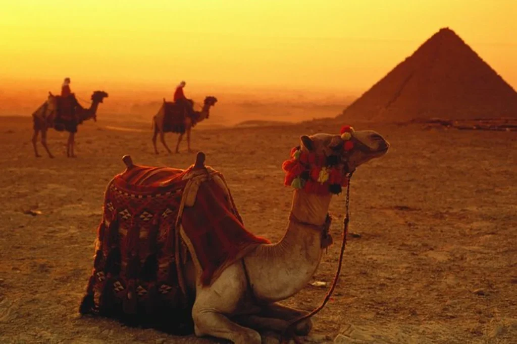 Desert Safari & Quad Bike Sunset — Egypt tour photograph