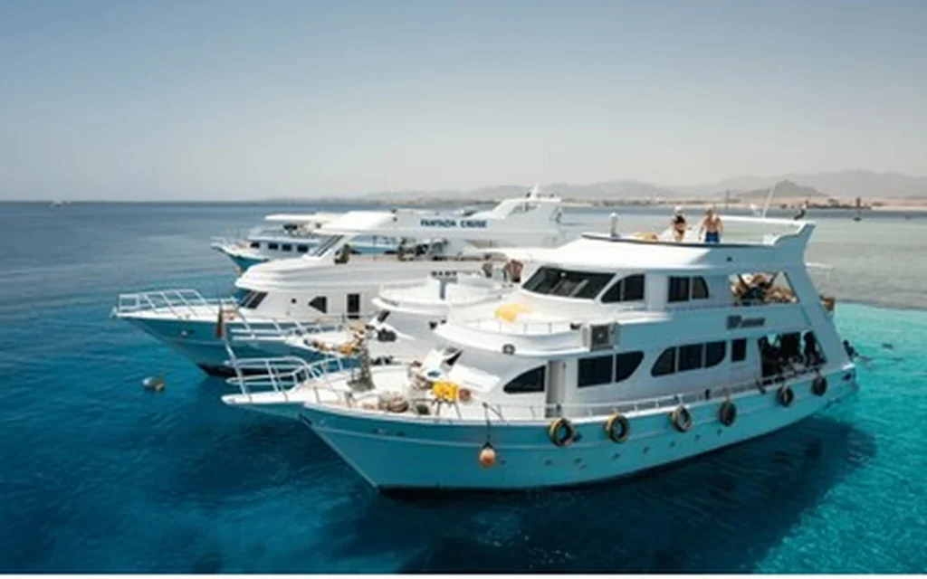 Red Sea Snorkeling Boat Trip — Egypt tour photograph