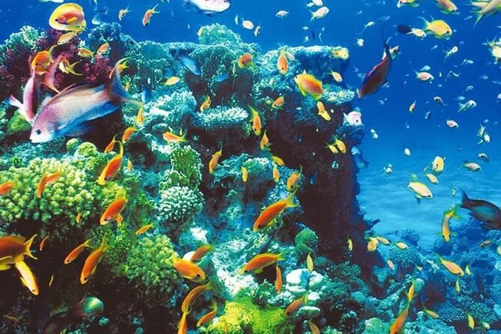 Colored Canyon & the Blue Hole from Sharm El Sheikh — Egypt tour photograph