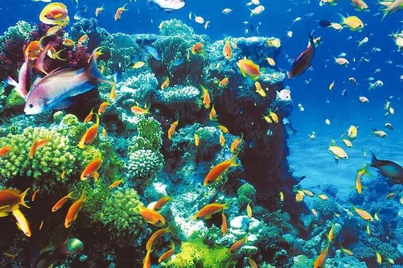 Colored Canyon & the Blue Hole from Sharm El Sheikh — Egypt tour photograph