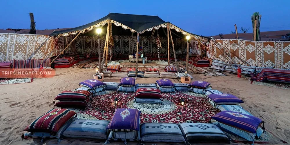 Bedouin Experience with Stargazing & Dinner from Sharm El Sheikh — Egypt tour photograph